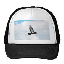 Flying Pigeon On Sky Hats