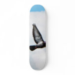 Flying Pigeon On Sky skateboards
