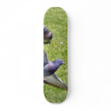 Flying Pigeon skateboards