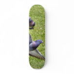 Flying Pigeon skateboards