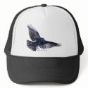 Flying Raven hats
