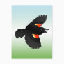 Flying Red-winged Blackbird Postcard