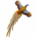 Flying Reeves Pheasant Ornament photo sculptures