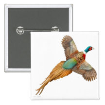 Flying Ring Necked Pheasant Pin