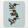Flying Ruby-throated Hummingbird