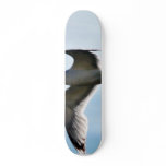 Flying Seagull Close Up skateboards