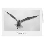 Flying Seagull Greeting Card
