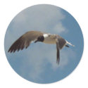Flying Seagull Stickers