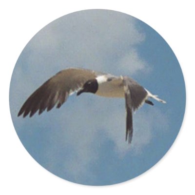 Flying Seagull Stickers by Captain_Panama