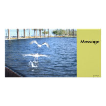 Flying Seagulls Customized Photo Card