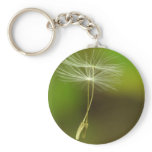 Flying seeds keychains