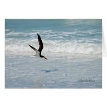 Flying Skimmer Card
