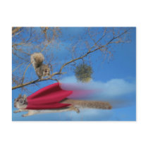 flying squirrel postcard