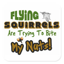 Flying Squirrels Square Stickers