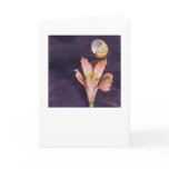 Flying Starry   cards