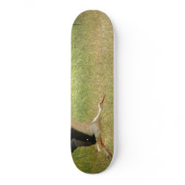 Flying stork skate board