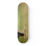 Flying stork skateboards