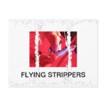 "FLYING STRIPPERS" post cards postcards