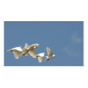 Flying white doves business cards