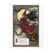Flying Witch Post Card