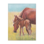 Foal and Mare Horse Art Postcard