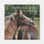 Foal friendship magnet