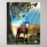 Foal Horse in Paradise