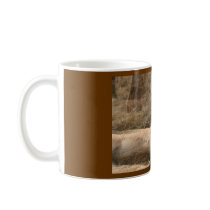 Foal Horse Mug