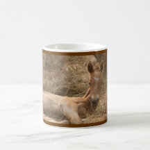 Foal Horse Mug