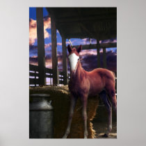 Foal in the Barn Posters