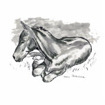 Foal photo sculptures