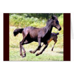Foal Play Notecards