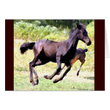 Foal Play Notecards