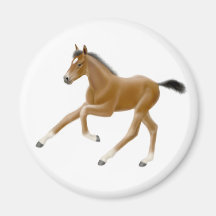 Foals Magnet