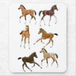 Foals Mouse Mat