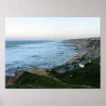 Foamy Shores posters
