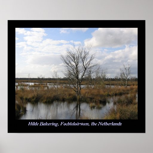 Fochteloërveen Posters