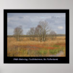 Fochteloërveen Posters