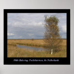 Fochteloërveen Print