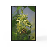 Focus Inspirational Message Art Greeting Card