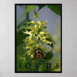 Focus Inspirational Message Poster Art Photo Print