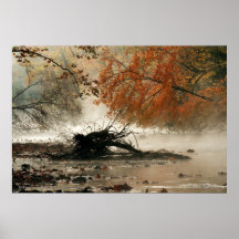 Fog and Colour Poster