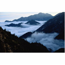 Fog filling the ravines of the Angeles National Fo Cut Out