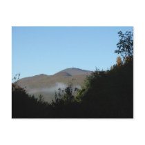 Fog Rising Postcard