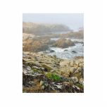 Foggy Beaches Ocean Acrylic Cut Out