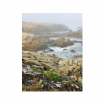 Foggy Beaches Ocean Acrylic Cut Out