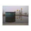 Foggy Day Postcard