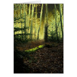 Foggy Forest W Stump Greeting Card