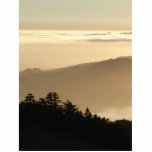 Foggy Parfait photo sculptures