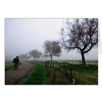 Foggy Rider